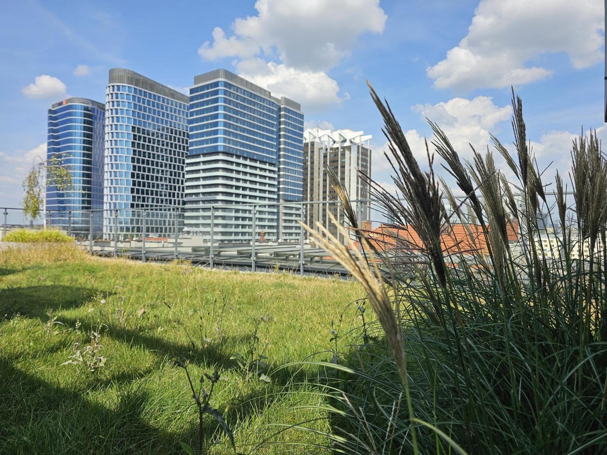 Urban Apartments Premium, Opolska 10 No 69, Free Garage, Self Check-In Katowice Exterior foto